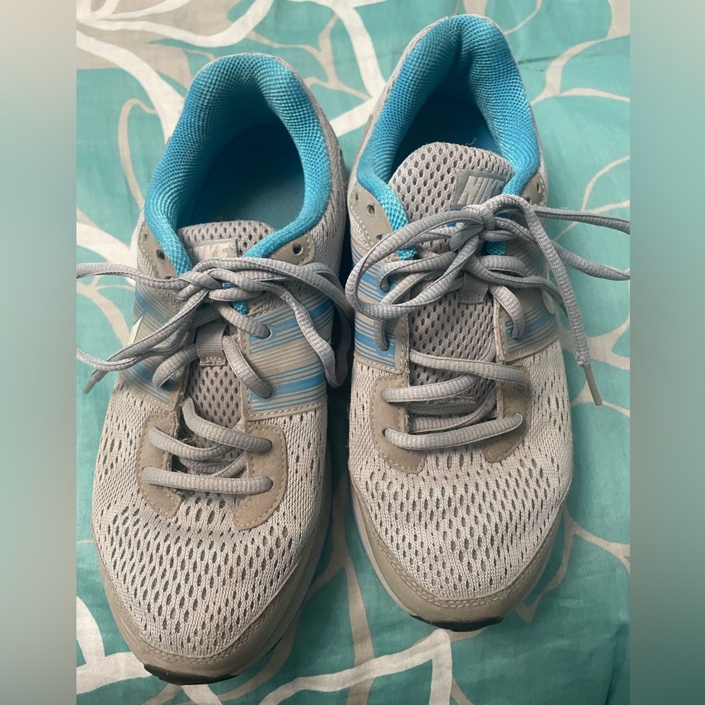 Nike Pegasus 29 Women’s shoes